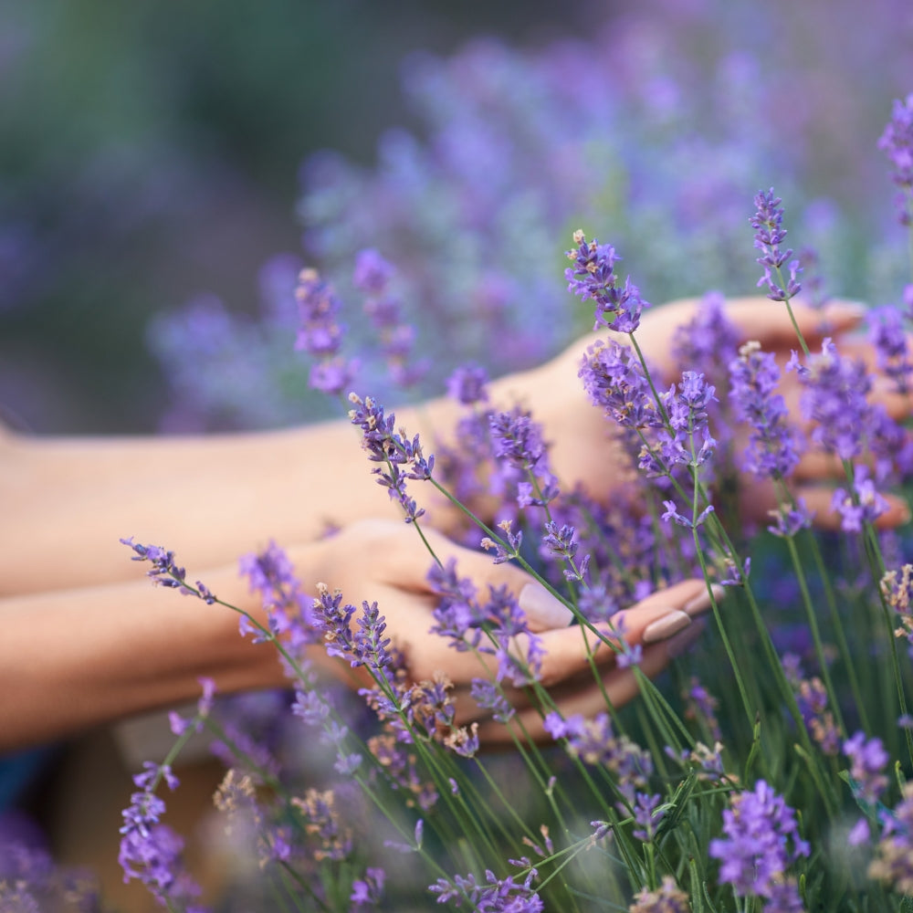 Bio Lavender toner 100 ml